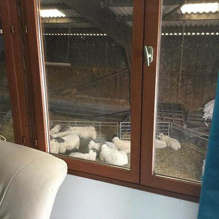 le loup dans la bergerie Bed & Breakfast Montmartin-sur-Mer Bagian luar foto