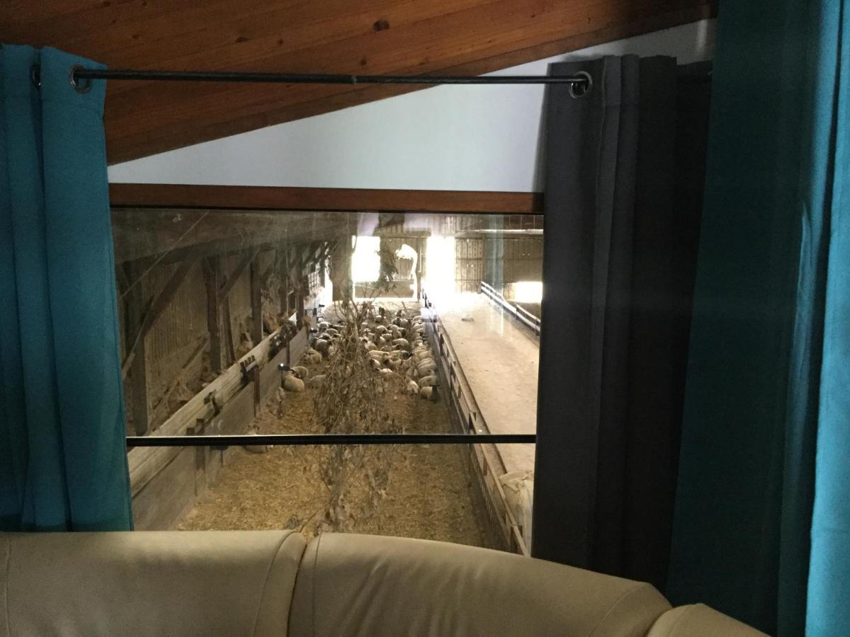 le loup dans la bergerie Bed & Breakfast Montmartin-sur-Mer Bagian luar foto